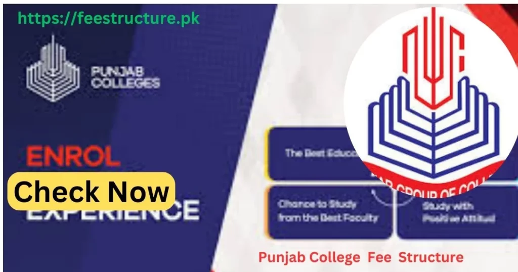 Punjab College Fee Structure 2025