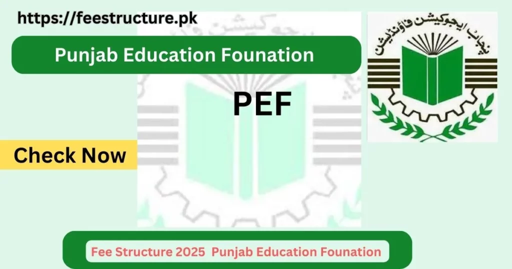 Fee Structure of Punjab Education Foundation (PEF)