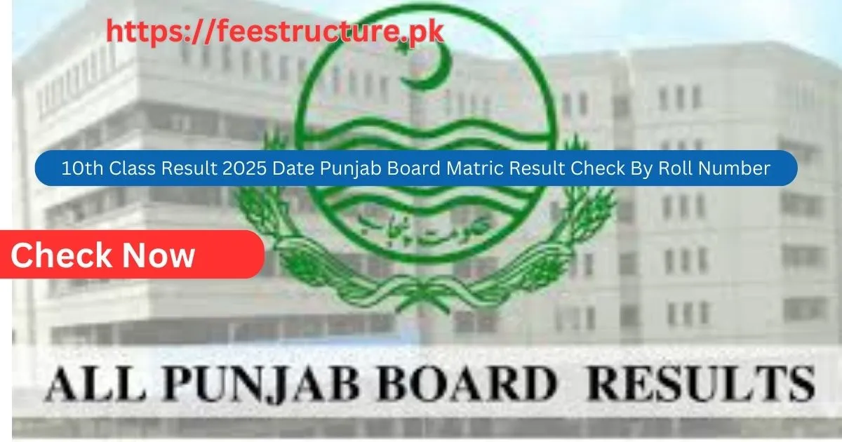 10th Class Result 2025 Date Punjab Board Matric Result Check By Roll Number